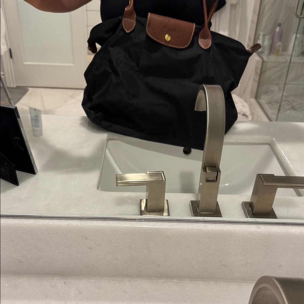 Longchamp Black and Brown Tote Bag